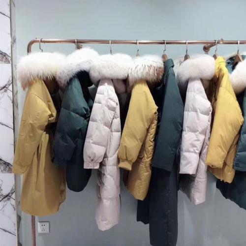 ´Q°f(ji)ݡq̼؛糣